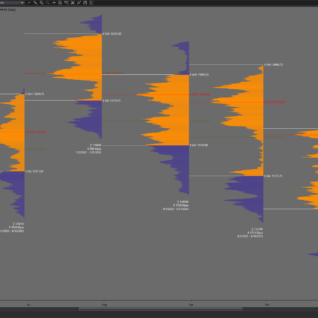 Intermediate Volume Profile - Image 3