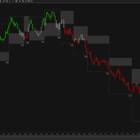 Balance Zone - Image 3